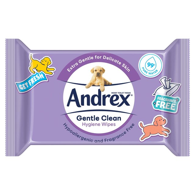 Andrex Gentle Clean Moist Toilet Tissue Hygiene Wipes 36 per pack